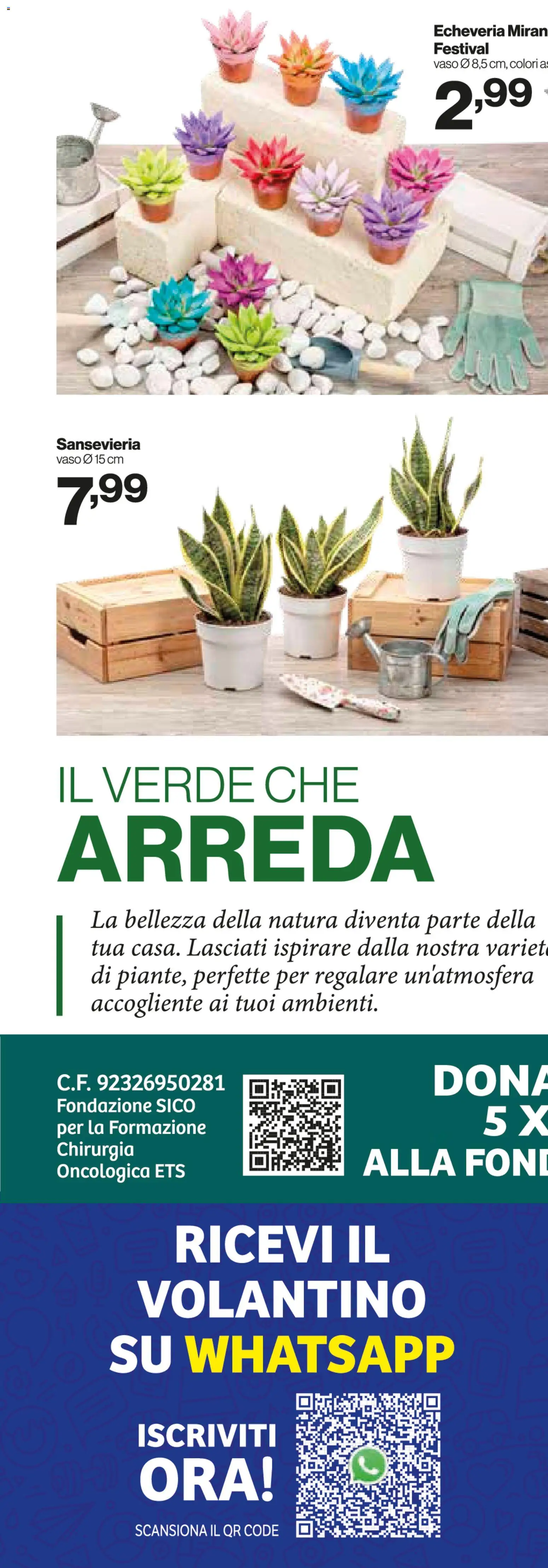 Volantino IN's del 15/07/2026 | Pagina: 24 | Prodotti: Vaso