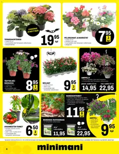 Minimani-mainoslehti voimassa 13.05.2026 alkaen | Sivu: 8 | Tuotteet: Kurkku, Kurpitsa