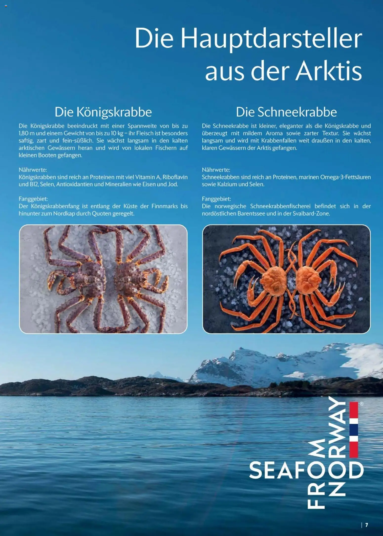 CITTI tilbudsavis – gyldig fra 26/08/2026 | Side: 7