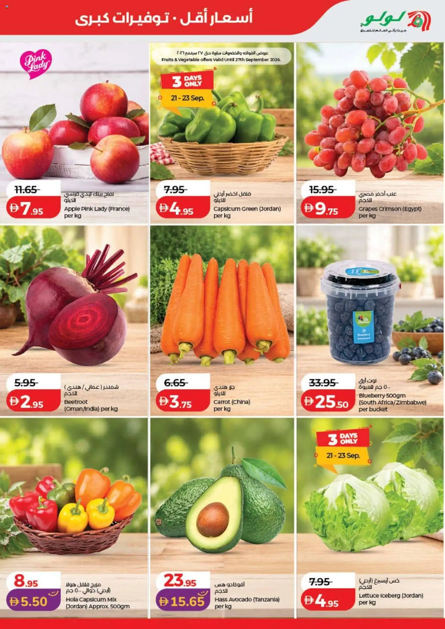 {H1} | Page: 31 | Products: Apple, Carrot, Lettuce, Grapes