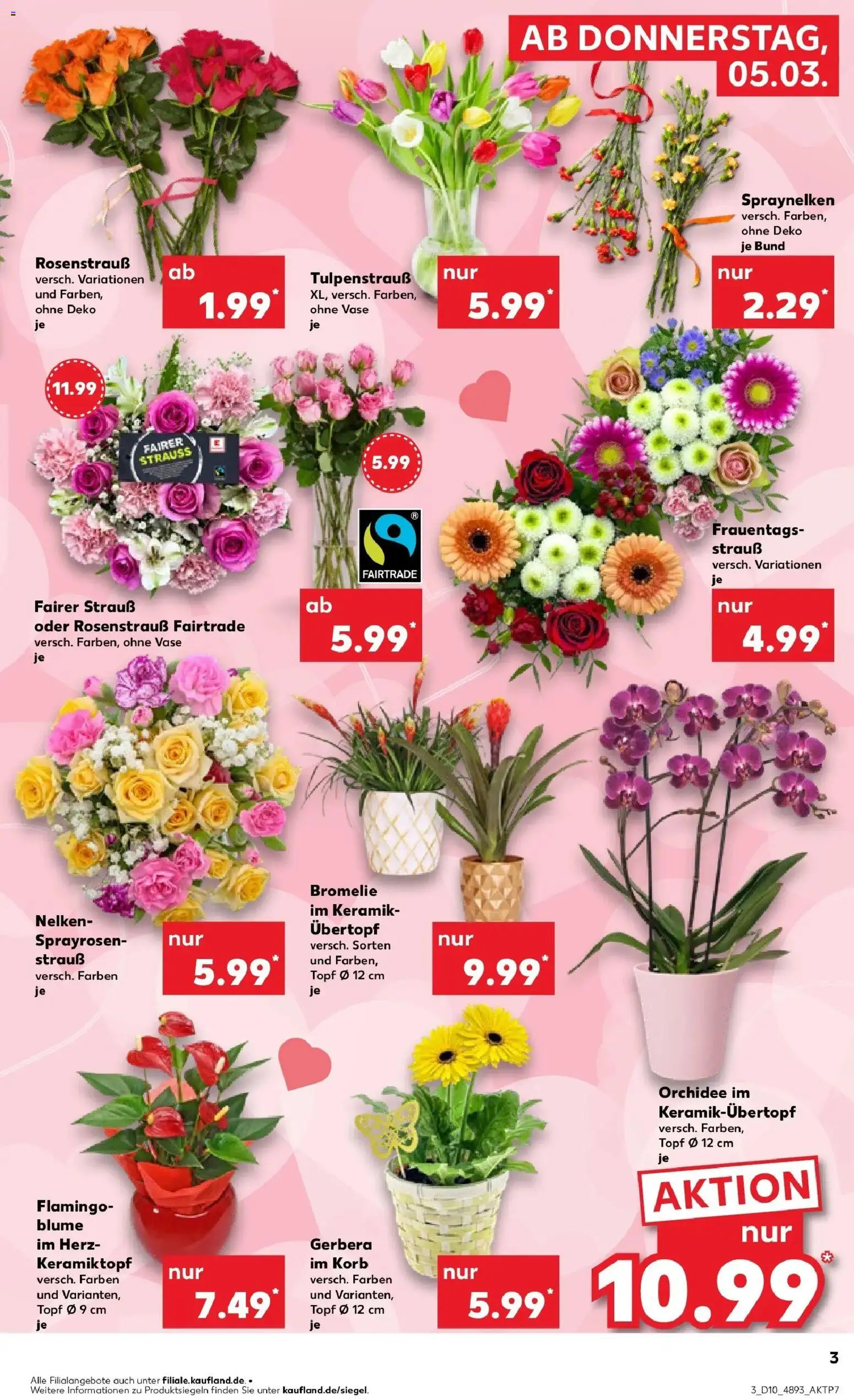 Kaufland Prospekt Leipzig	 – gültig ab 05.03.2026 | Seite: 3 | Produkte: Orchidee, Korb, Vase