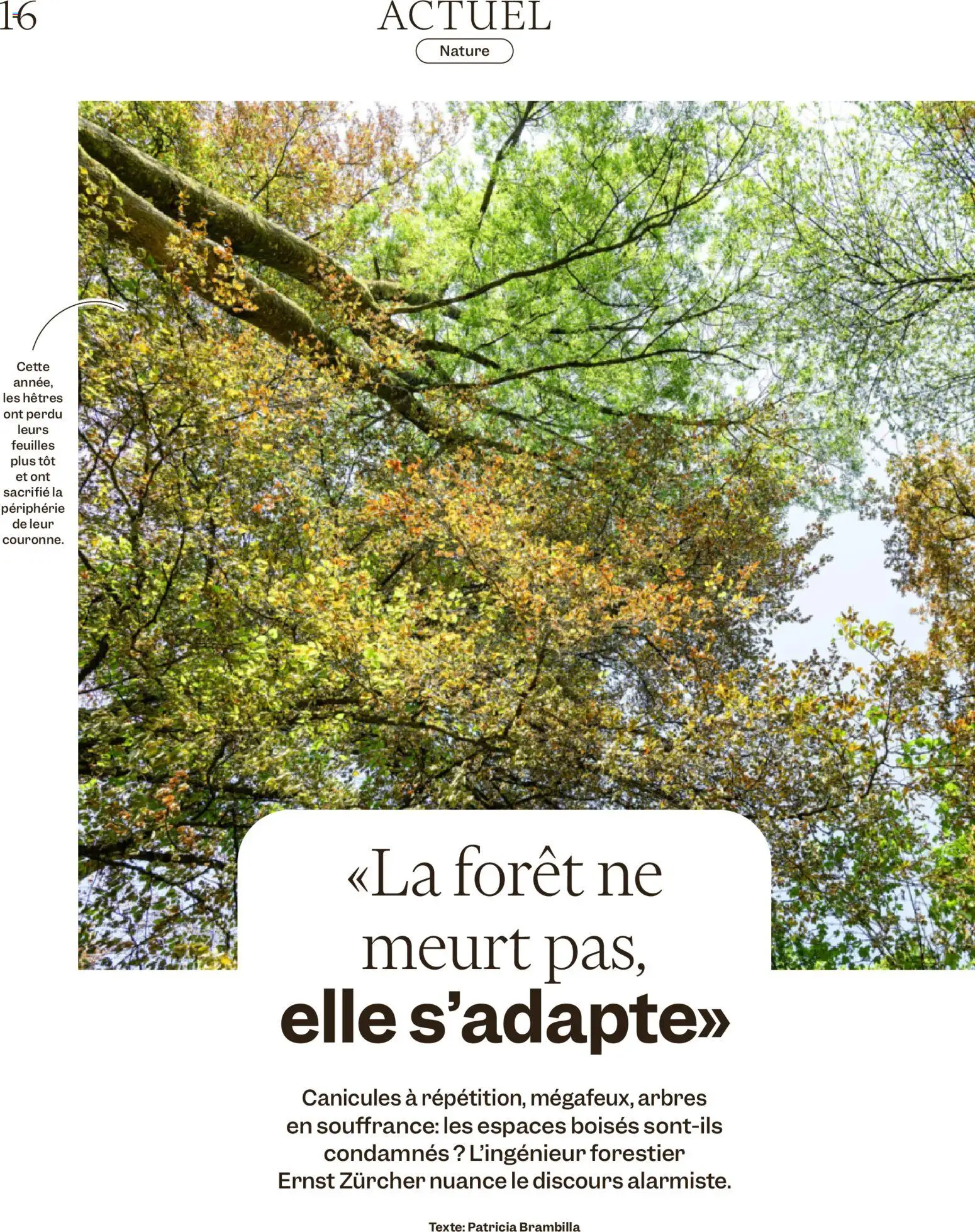 Migros aktionen Magazine FR – gültig ab 16.09.2026 | Seite: 16
