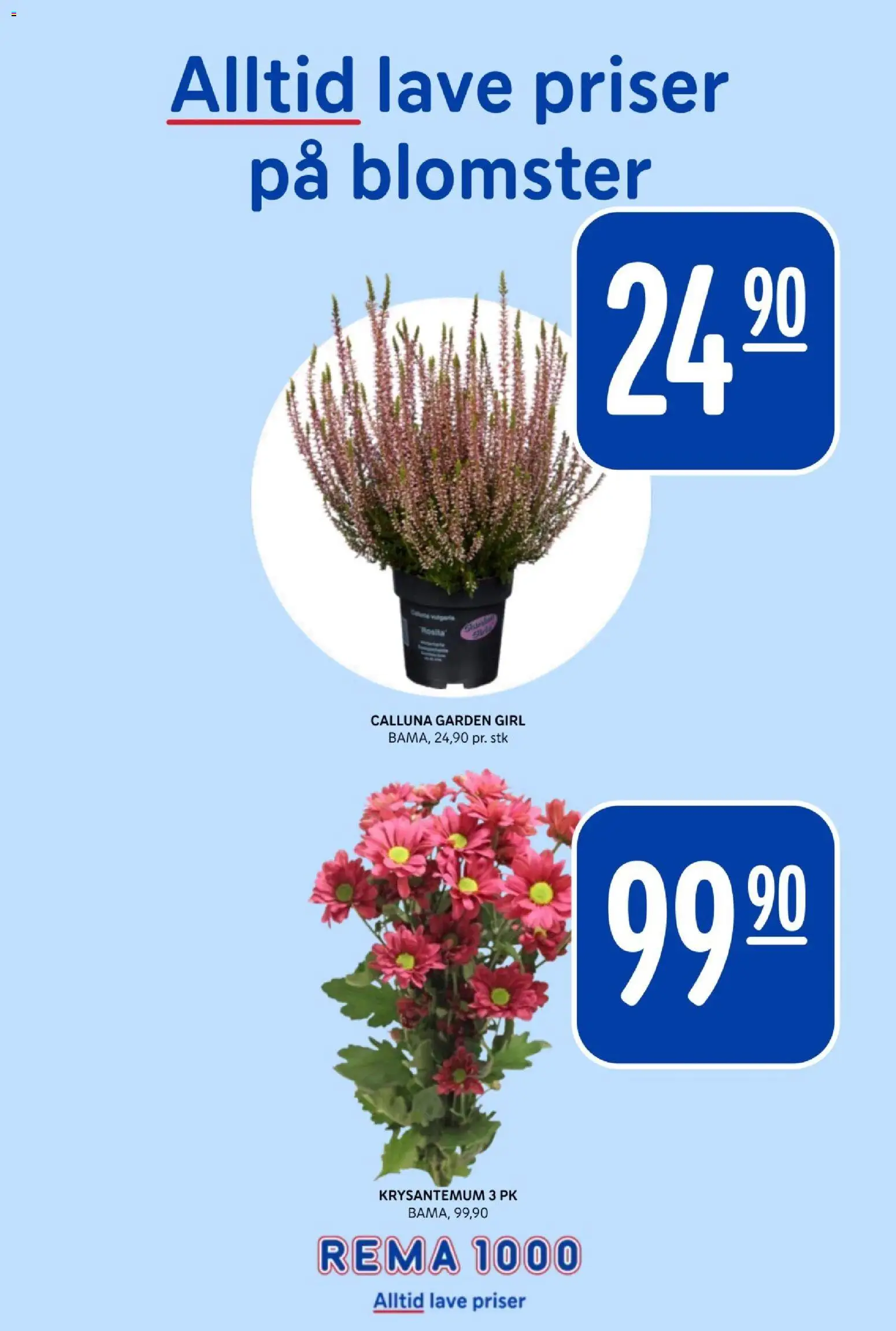 {H1} | Side: 27 | Produkter: Blomster