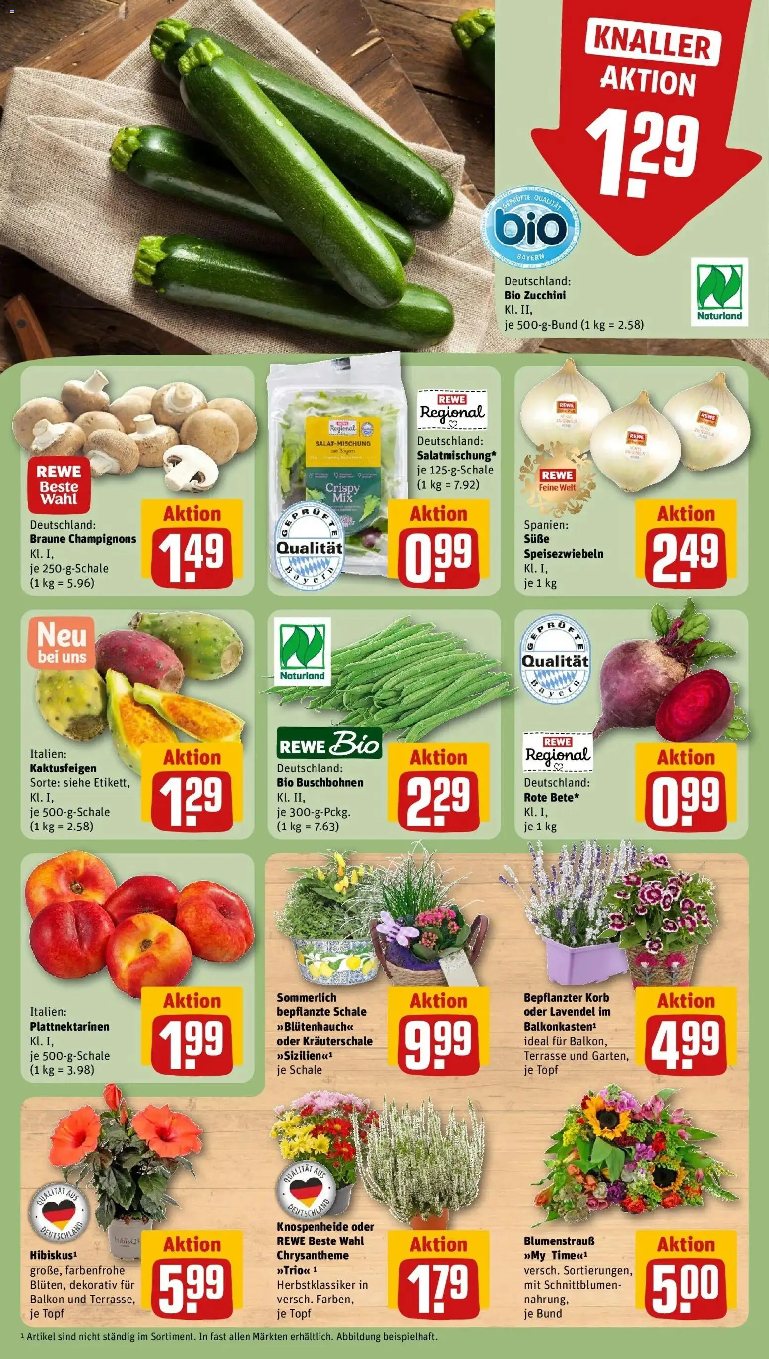 REWE Prospekt ab 17.08.2026 zum Blättern » Angebote | Seite: 9 | Produkte: Korb, Champignons, Zucchini, Lavendel