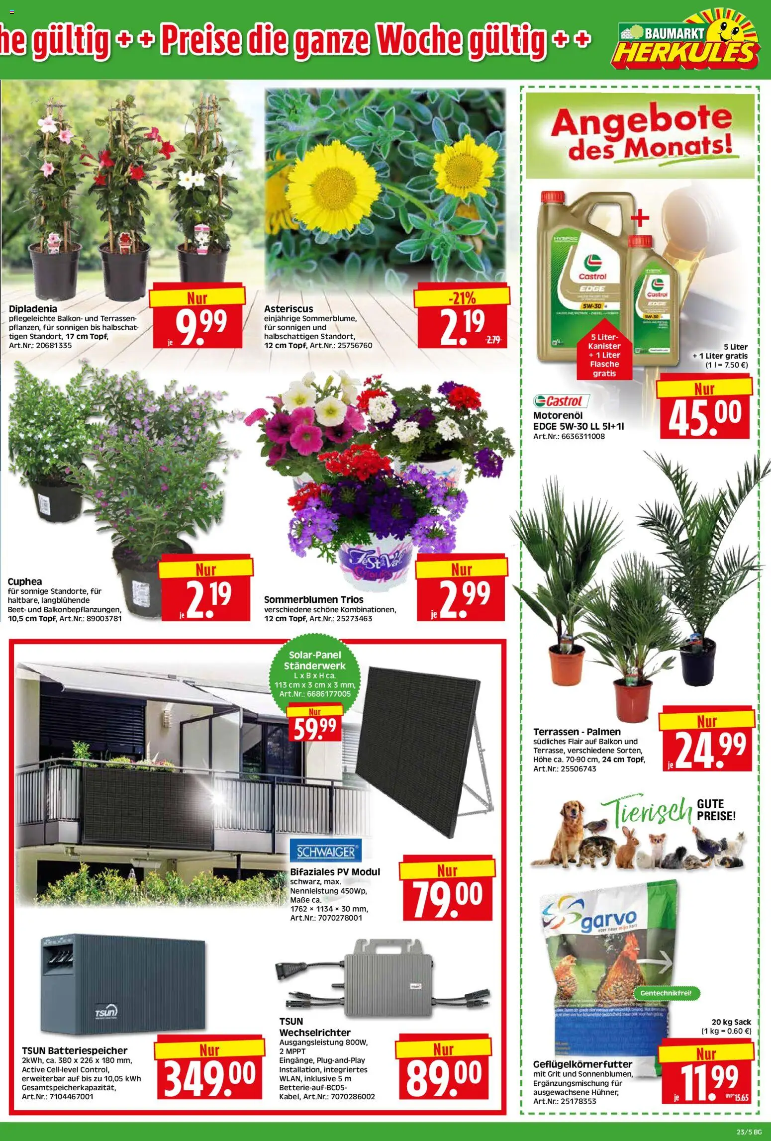 HERKULES Bau & Garten – gültig ab 01.06.2026 | Seite: 5