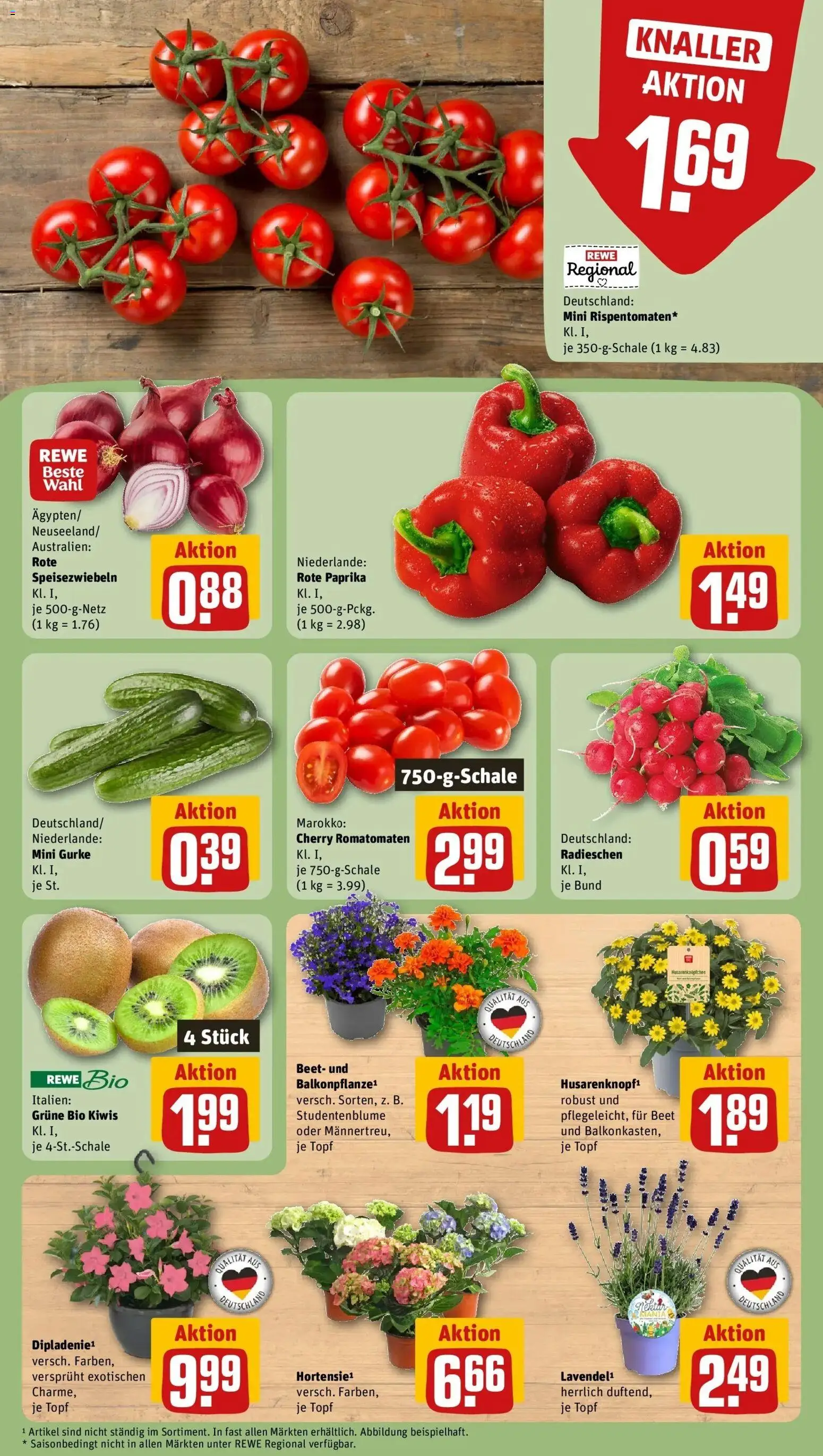 Rewe Prospekt Berlin / Moabit	 – gültig ab 10.05.2026 | Seite: 7 | Produkte: Paprika, Kiwi