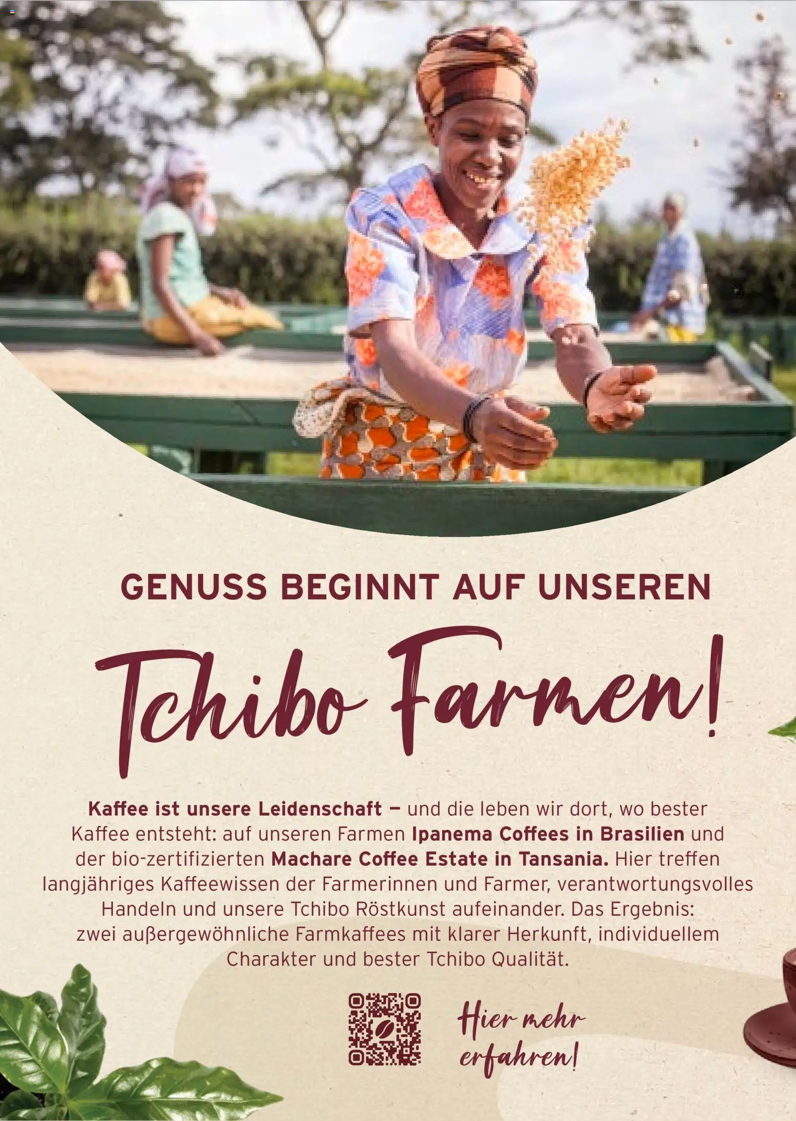 Prospekt Tchibo Tropical Dreams – gültig ab 01.07.2026 | Seite: 28 | Produkte: Kaffee