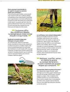 Mr. Bricolage - Prévisualisation de Mr. Bricolage catalogue Automne valide à partir de 18/09/2026 | Page: 47