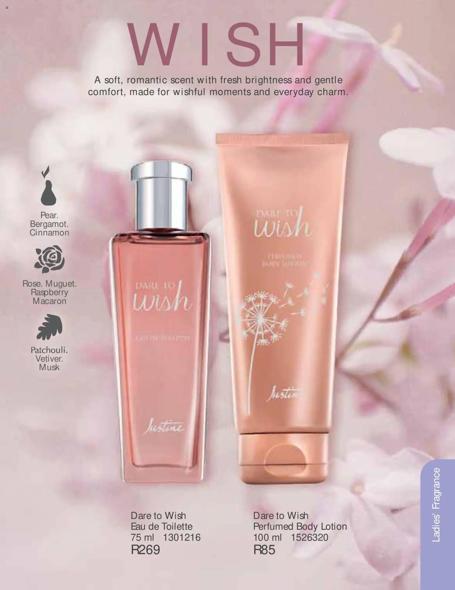 New Justine catalogue – valid from 01/09/2026 | Page: 62