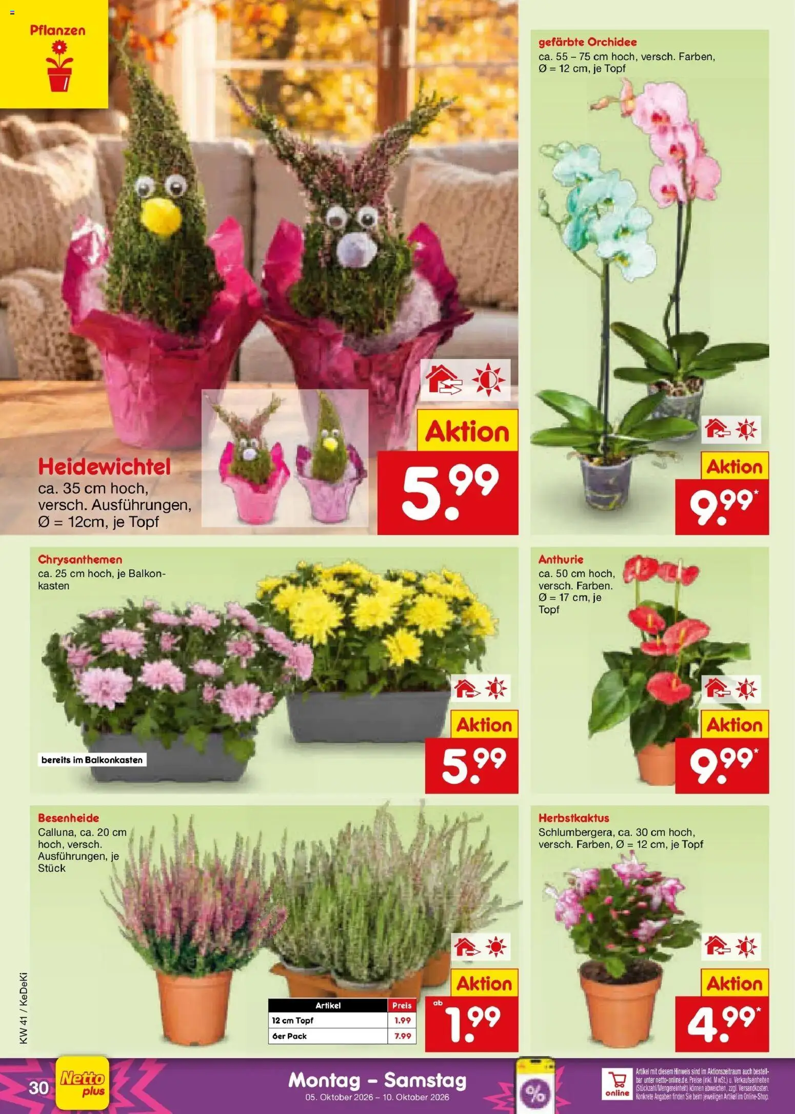 Netto Marken-Discount Prospekt Stuttgart (ab 05.10.2026) » Angebote | Seite: 38 | Produkte: Orchidee