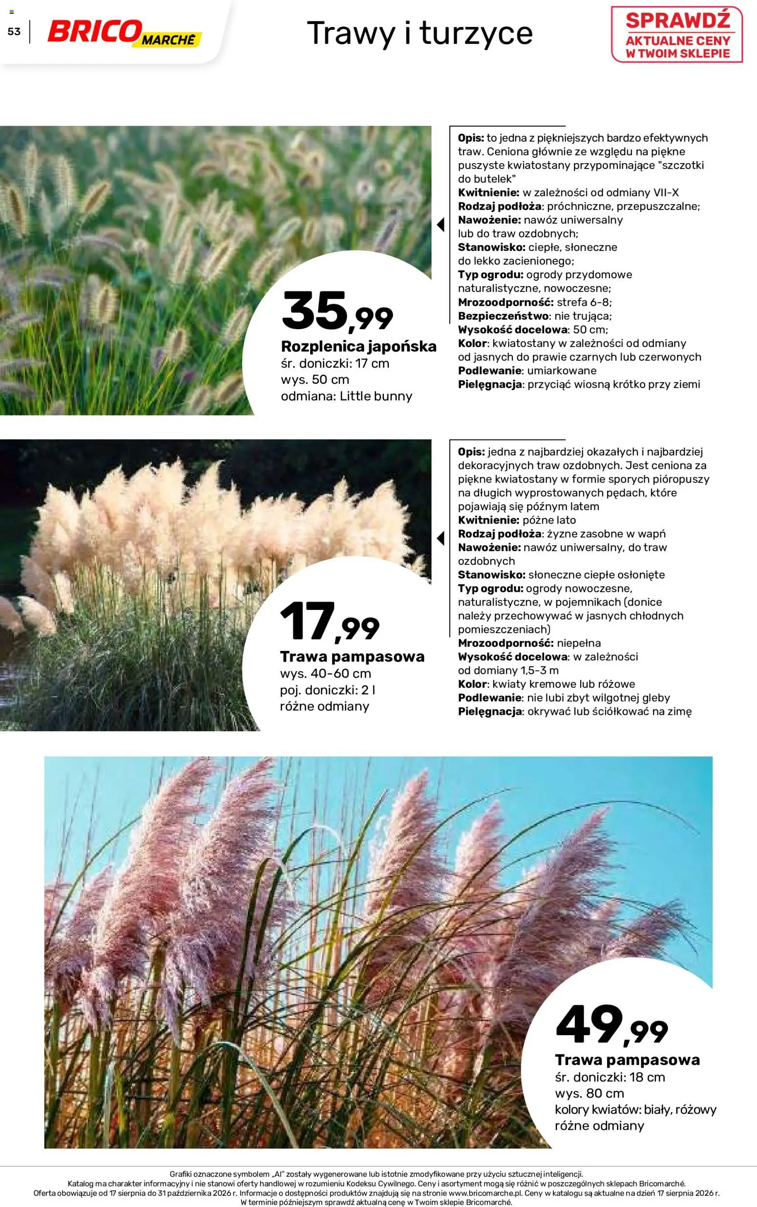 Brico Marché gazetka - Jesienne Inspiracje od 17.08.2026 | Strona: 53 | Produkty: Trawy, Nawóz, Doniczki, Trawa pampasowa