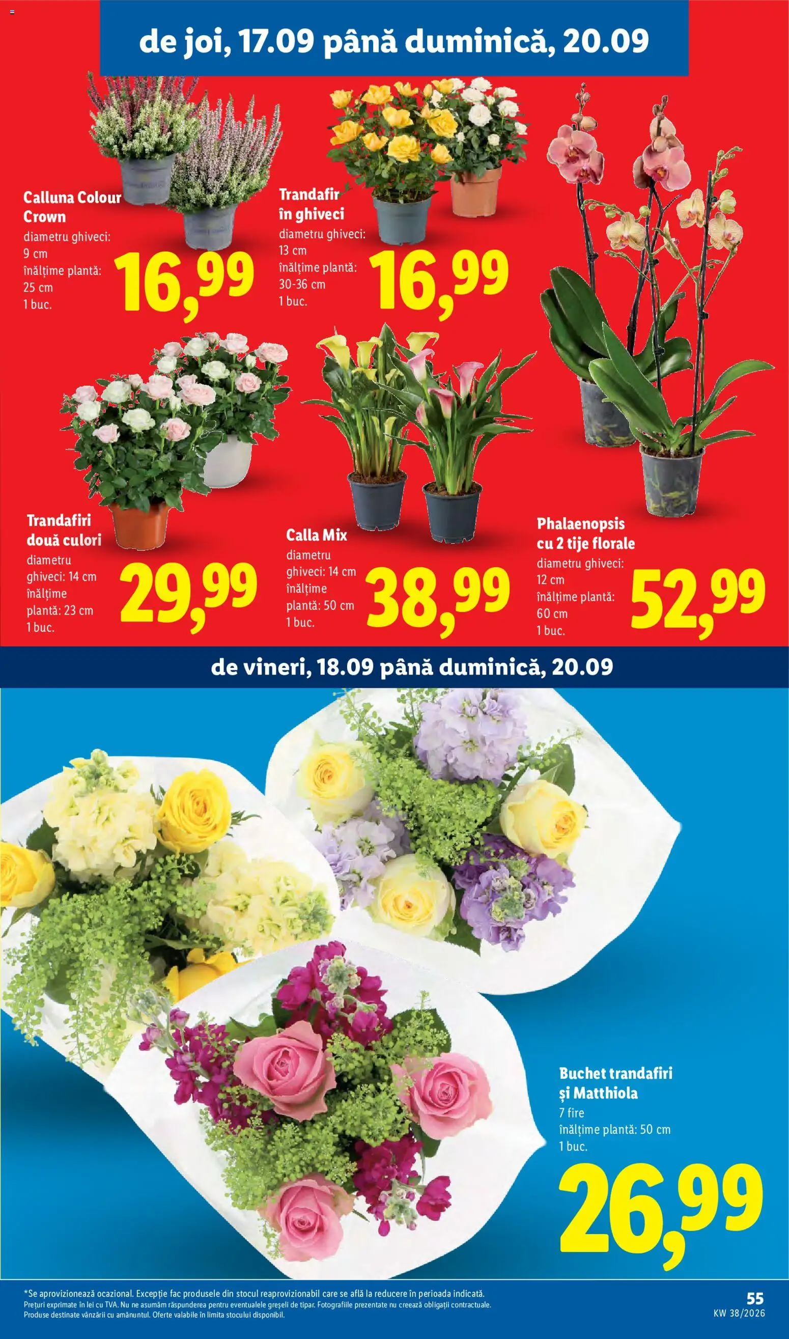 Noul catalog Lidl – valabil de la 14.09.2026 | Pagină: 55