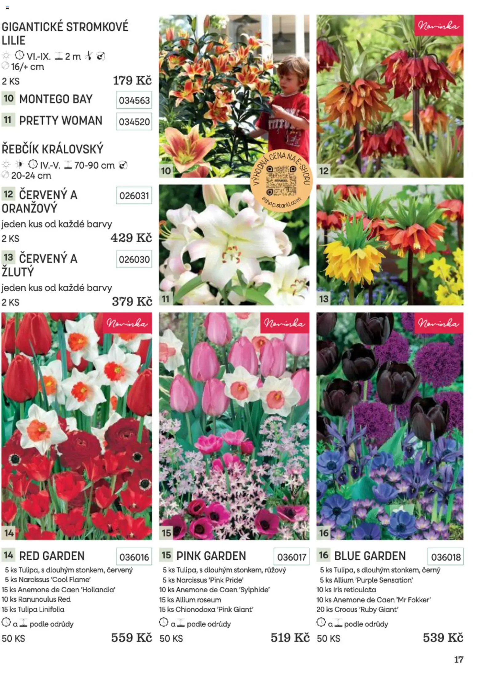 Starkl katalog Podzim 2026 od 01.09.2026 | Strana: 17 | Produkty: Barvy