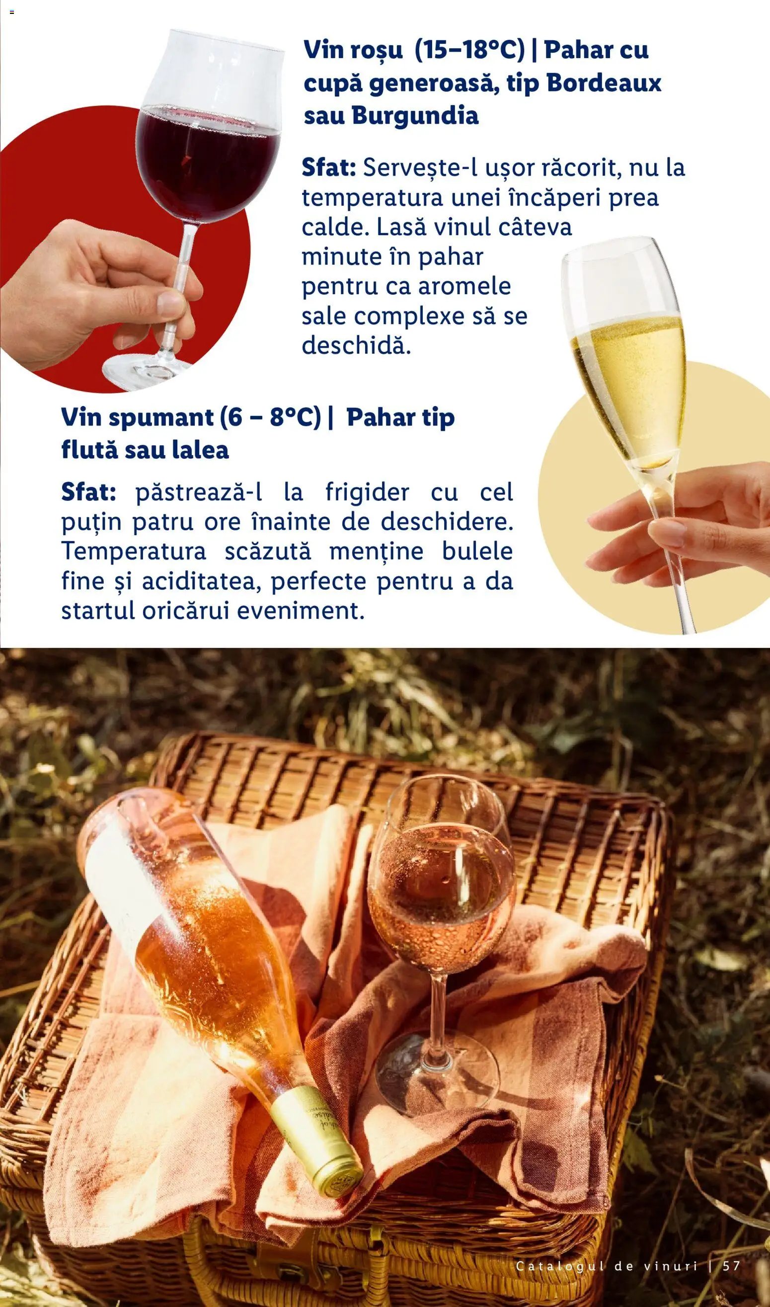 Noul catalog Lidl – valabil de la 28.09.2026 | Pagină: 57 | Produse: Frigider, Vin spumant, Vin, Tip