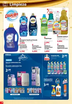 Vista previa Alcampo folleto válido desde el 22/10/2026 | Página: 28 | Productos: Detergente, Cocina, Pato, Vinagre