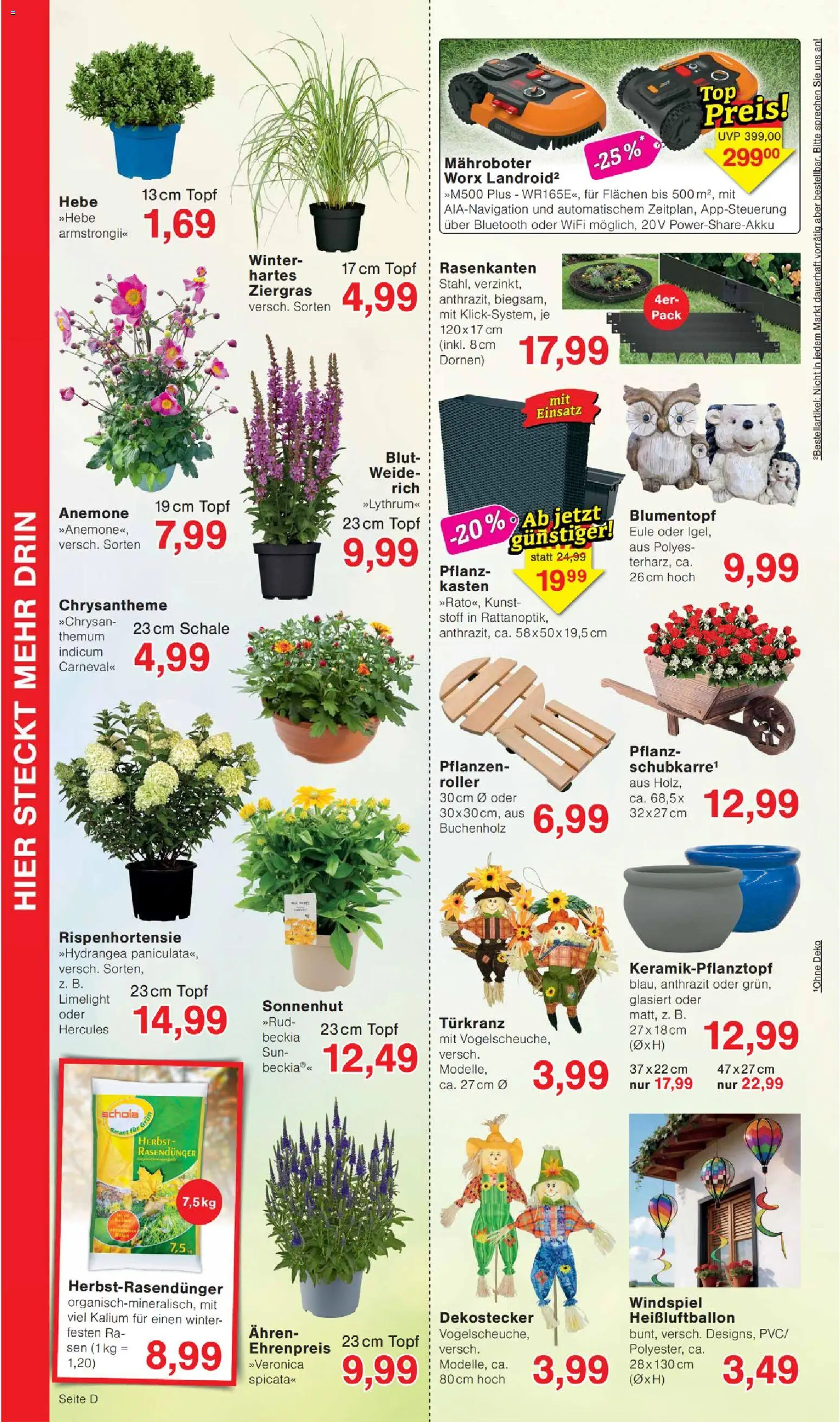 Wiglo Wunderland Prospekt – gültig ab 17.08.2026 | Seite: 8 | Produkte: Blumentopf