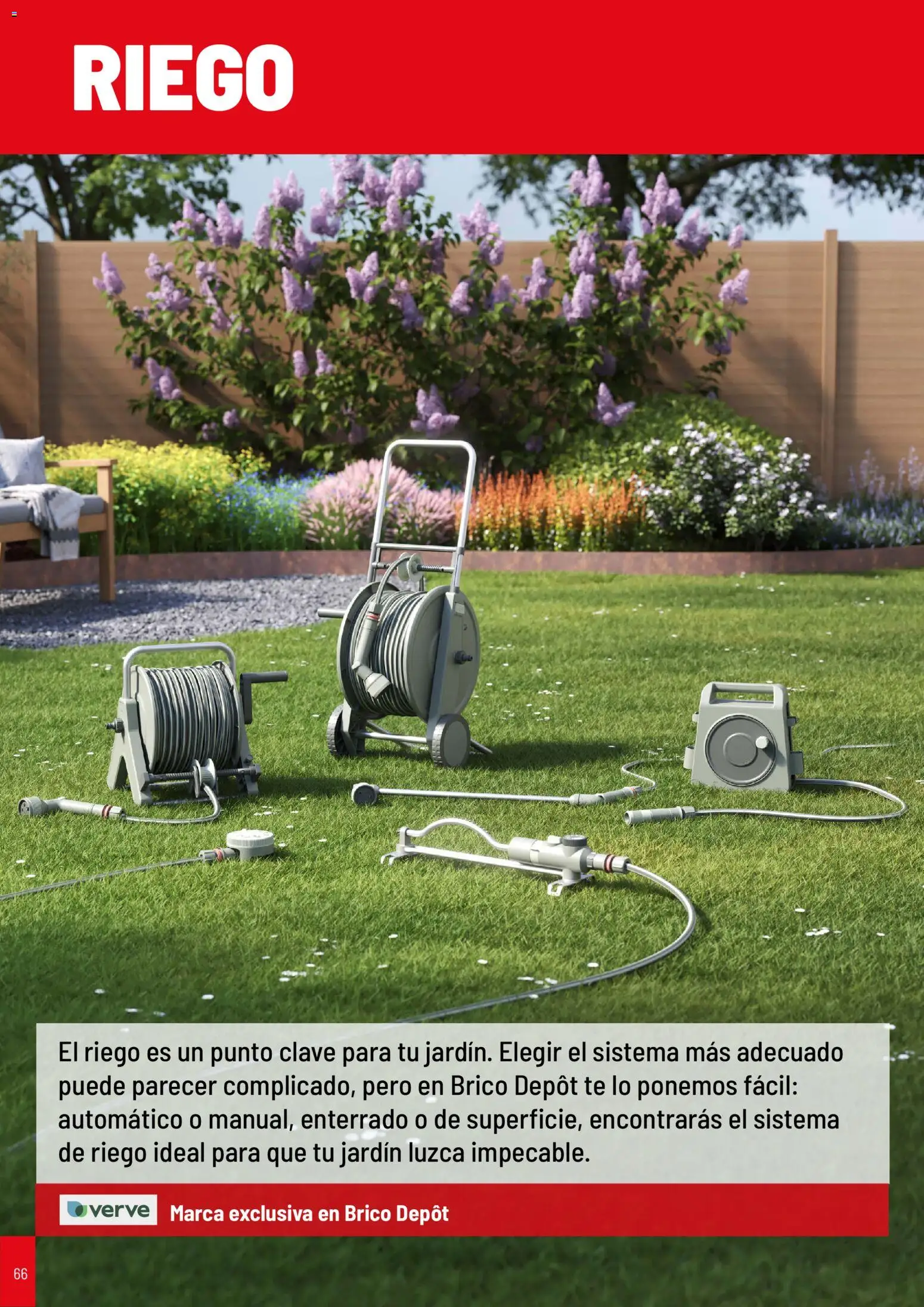 Brico Depôt folleto Jardín 2026 │ válido desde el 02.04.2026 | Página: 66 | Productos: Té