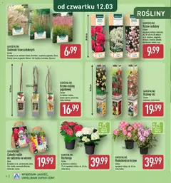 Pogląd oferty "Aldi Gazetka - Katalog ogrodowy" - ważna od 25.02.2026 | Strona: 6 | Produkty: Doniczka, Rosliny, Doniczki, Róż