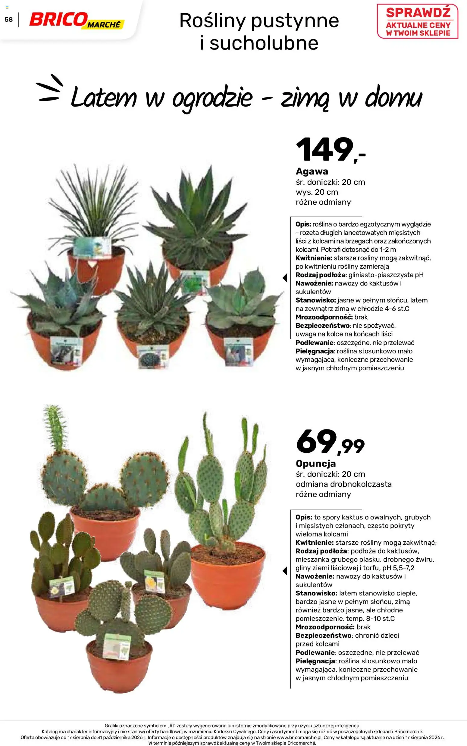 Brico Marché gazetka - Jesienne Inspiracje od 17.08.2026 | Strona: 58 | Produkty: Podłoże, Agawa, Rosliny, Doniczki