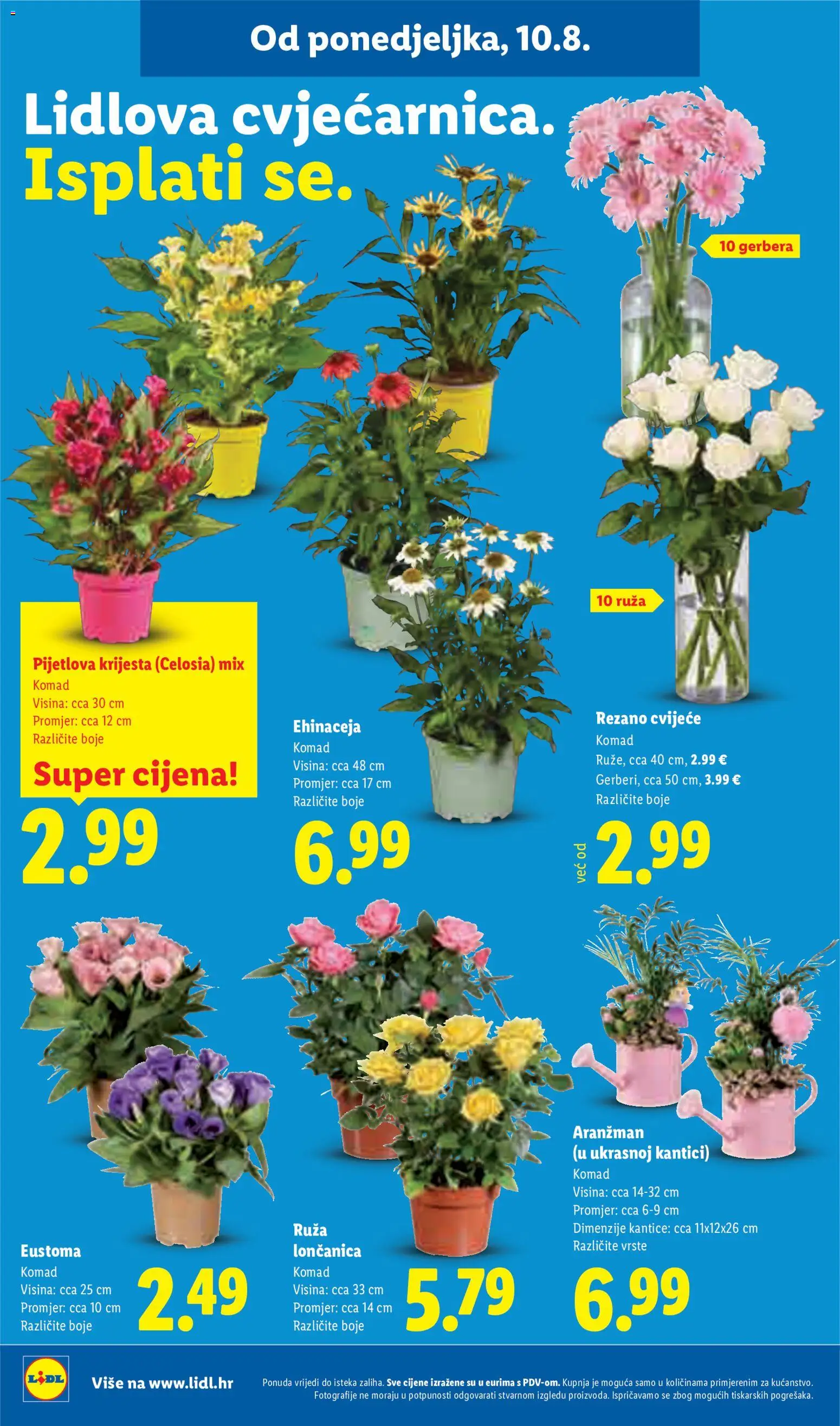 Lidl katalog | vrijedi od 10.08.2026 | Stranica: 50